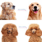 🐶🐱🔥 Professionelles Enthaarungs-Tool für Hunde & Katzen – entfernt lose Haare schnell & effektiv ✨