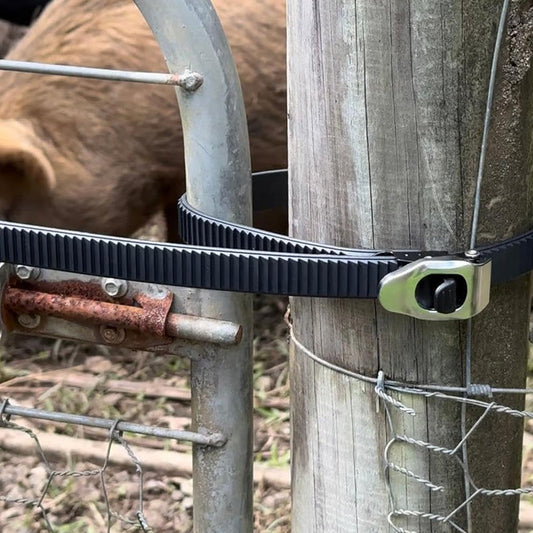 Ultimativ sicherer Verriegelungsriemen