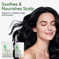 🧴✨Shampoo für natürliches Haarwachstum – gegen Haarausfall, zur Regeneration der Kopfhaut, für dichteres und volleres Haar 🌿