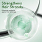 🧴✨Shampoo für natürliches Haarwachstum – gegen Haarausfall, zur Regeneration der Kopfhaut, für dichteres und volleres Haar 🌿
